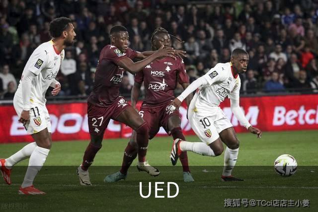 UED公司简介图片
